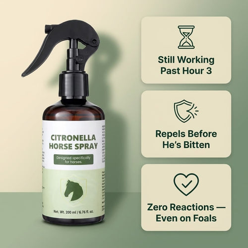 fly spray
