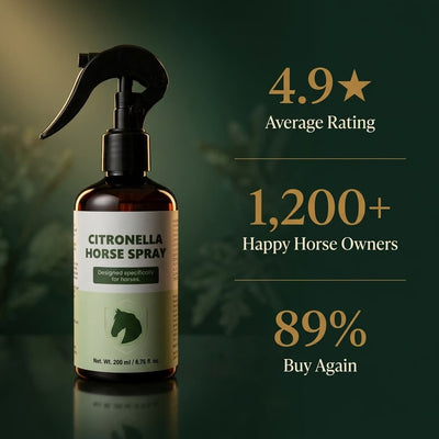 fly spray