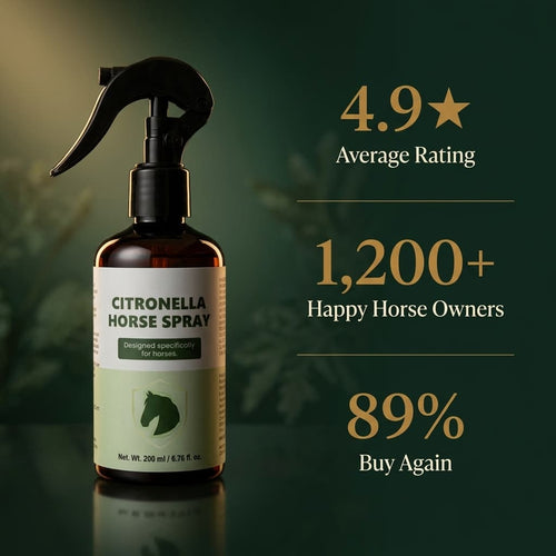 fly spray